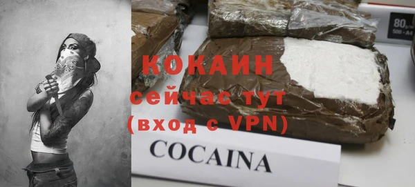 PSILOCYBIN Бородино