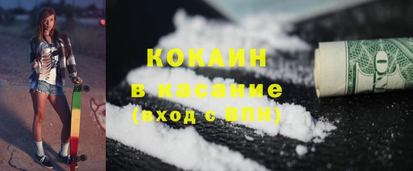 шишки Бронницы