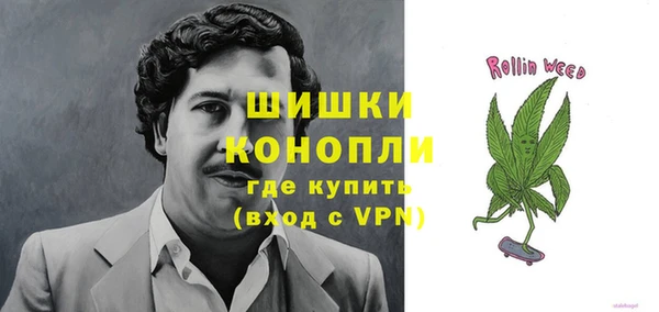 шишки Бронницы