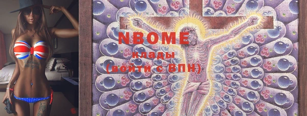 PSILOCYBIN Бородино