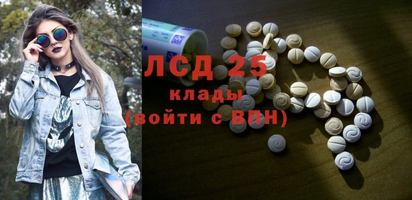 PSILOCYBIN Бородино