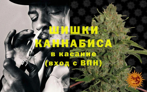 PSILOCYBIN Бородино