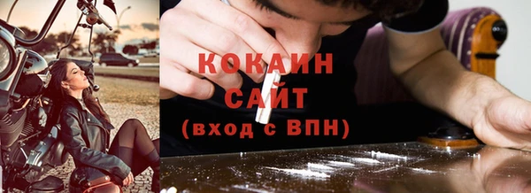 шишки Бронницы
